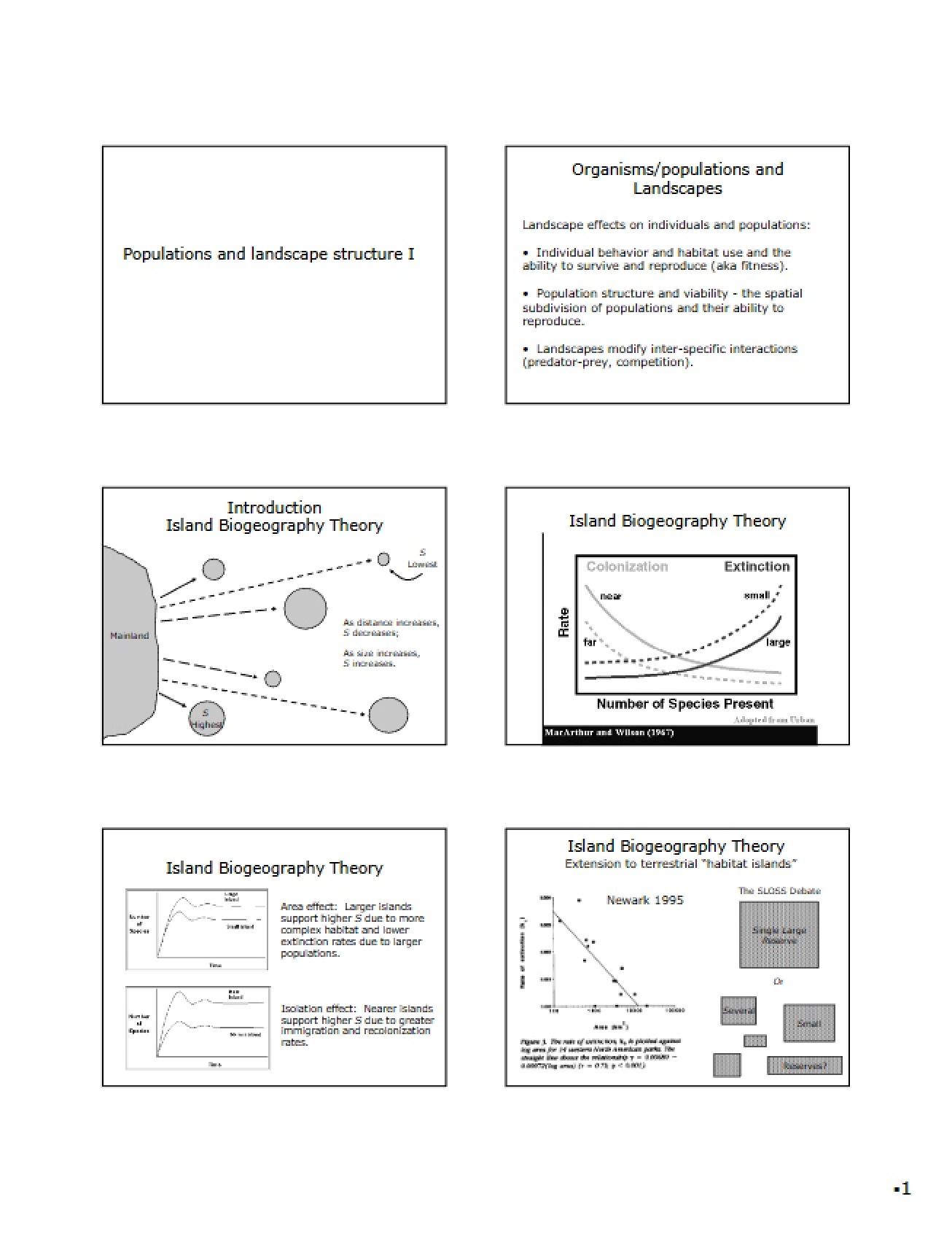 Theory of Biogeography on Islands