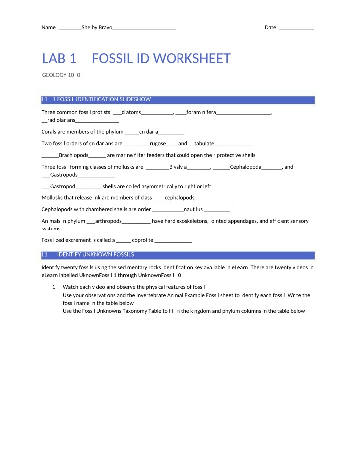 Worksheet - Fossil Identification