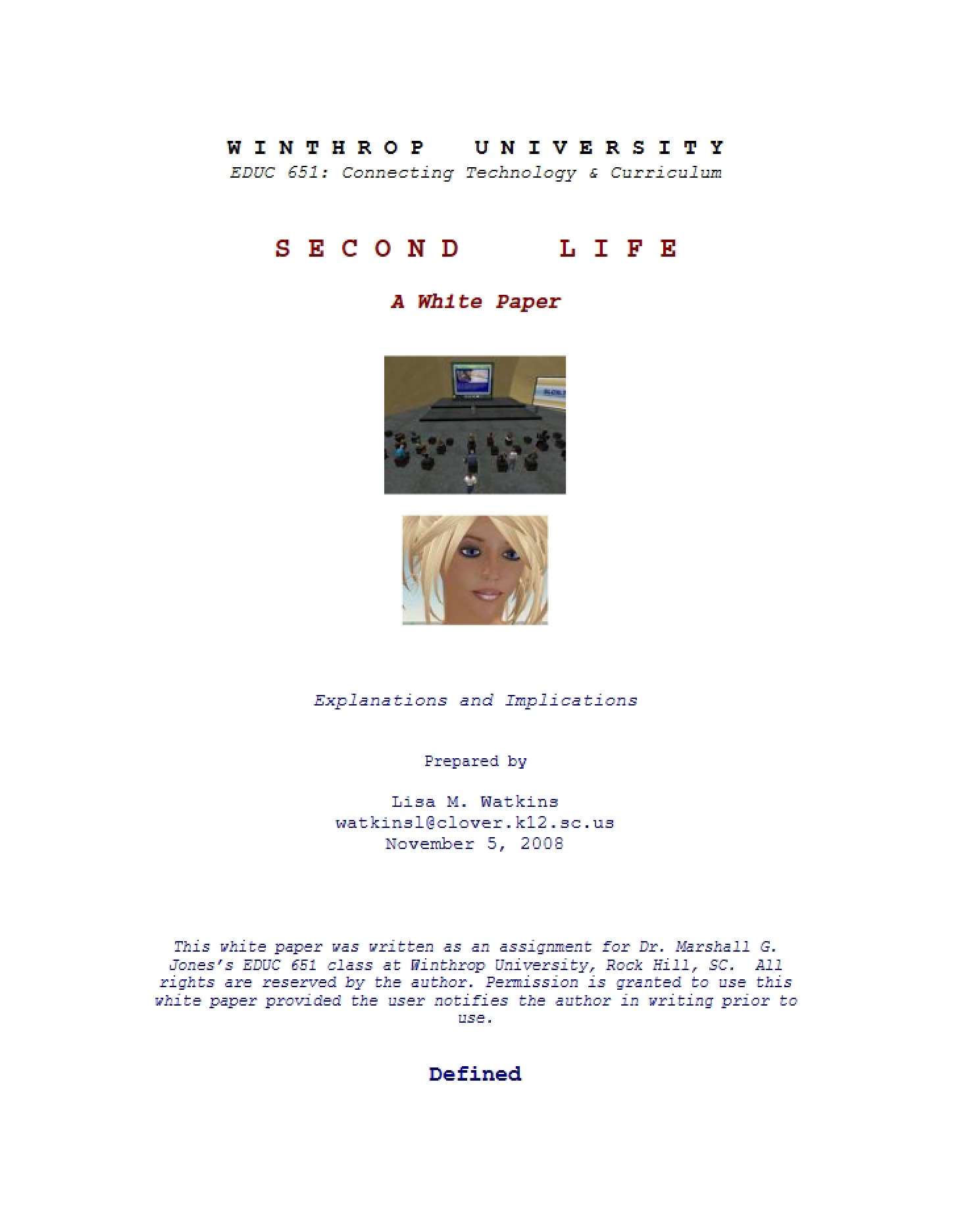 Second Life Virtual World