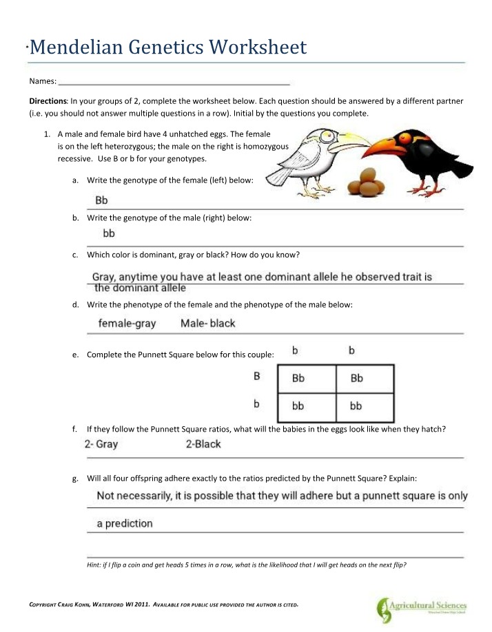 Worksheet on Mendelian Genetics