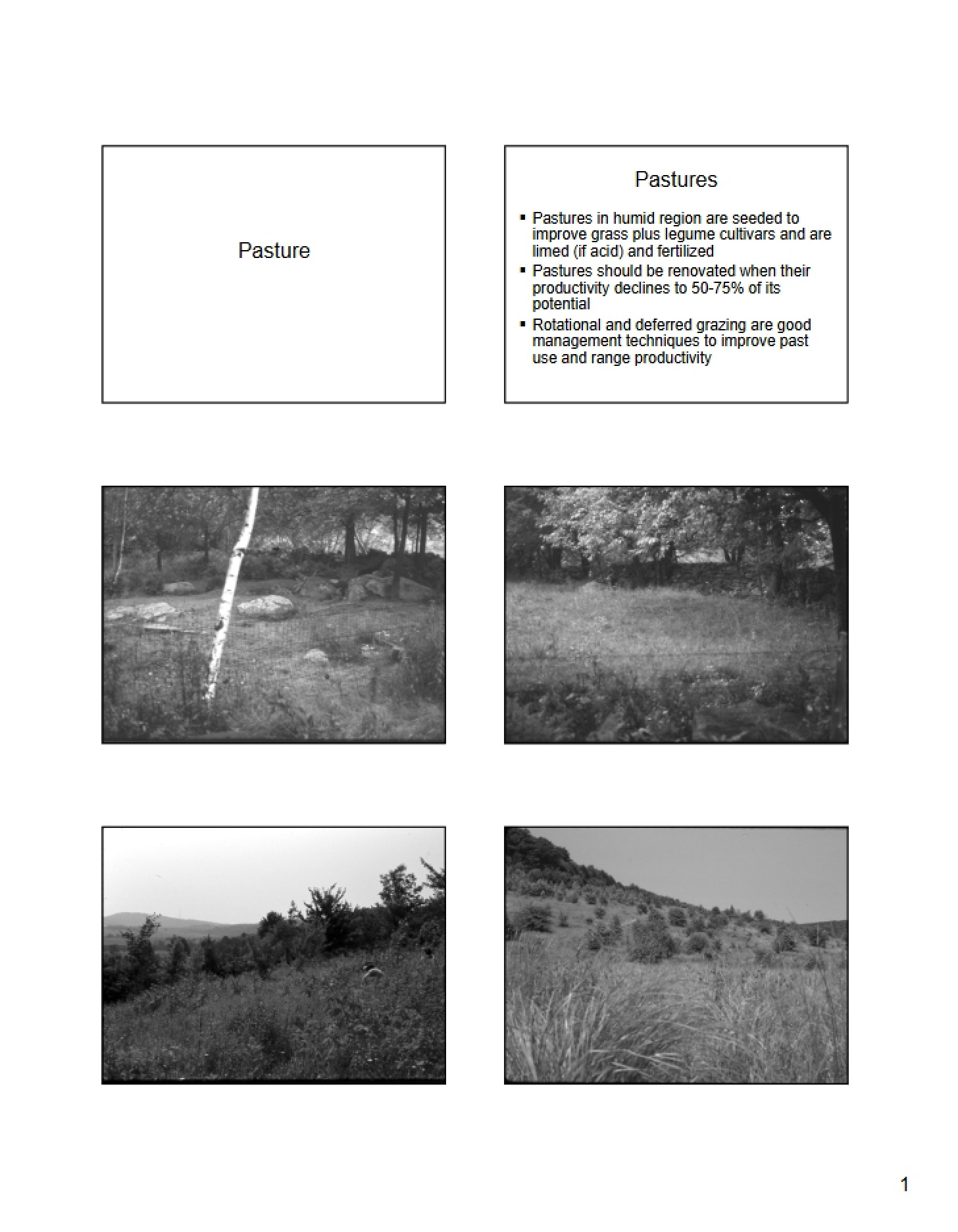 Pasture Lecture