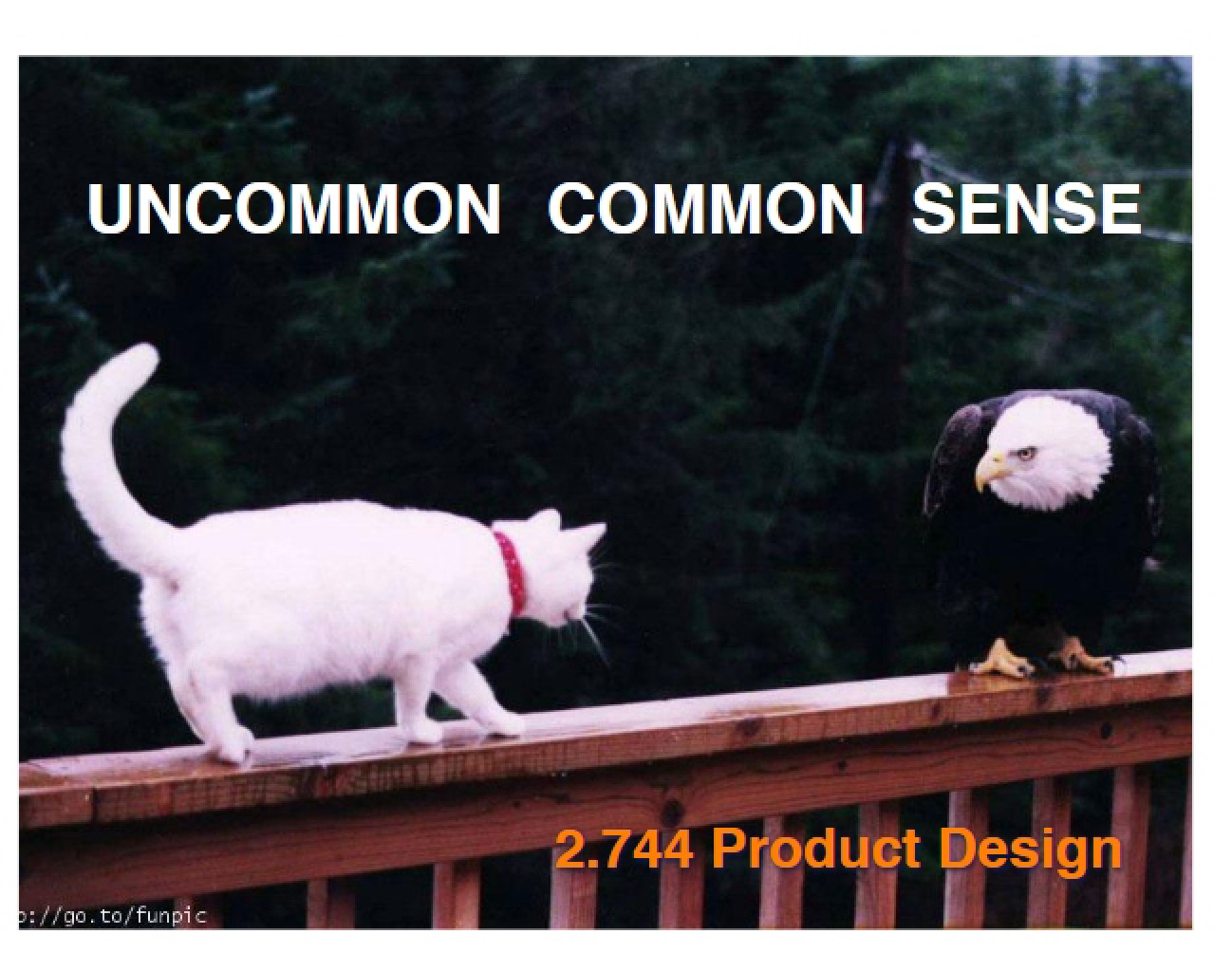 Study Notes: Product Design