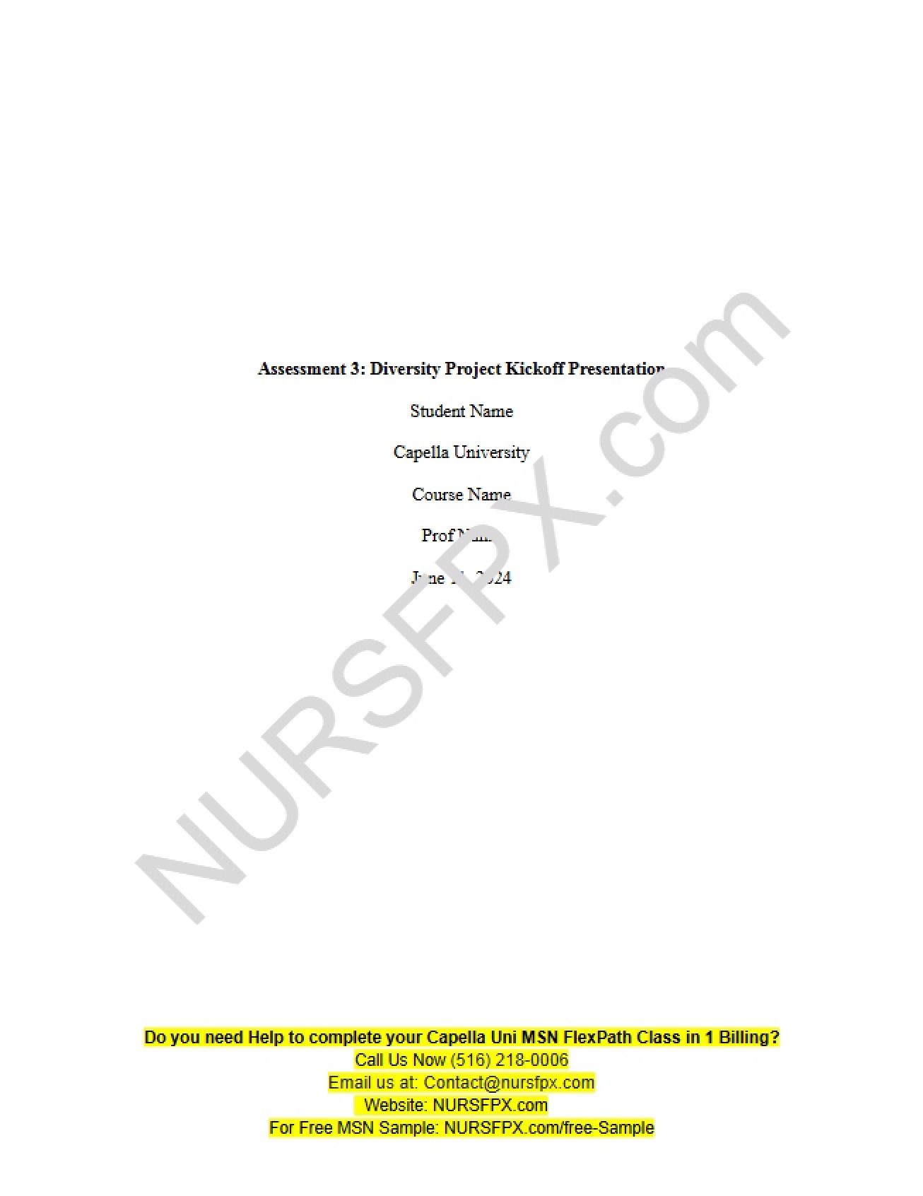 Presentation for Diversity Project Kickoff (Assessment 3) - 5 Pages
