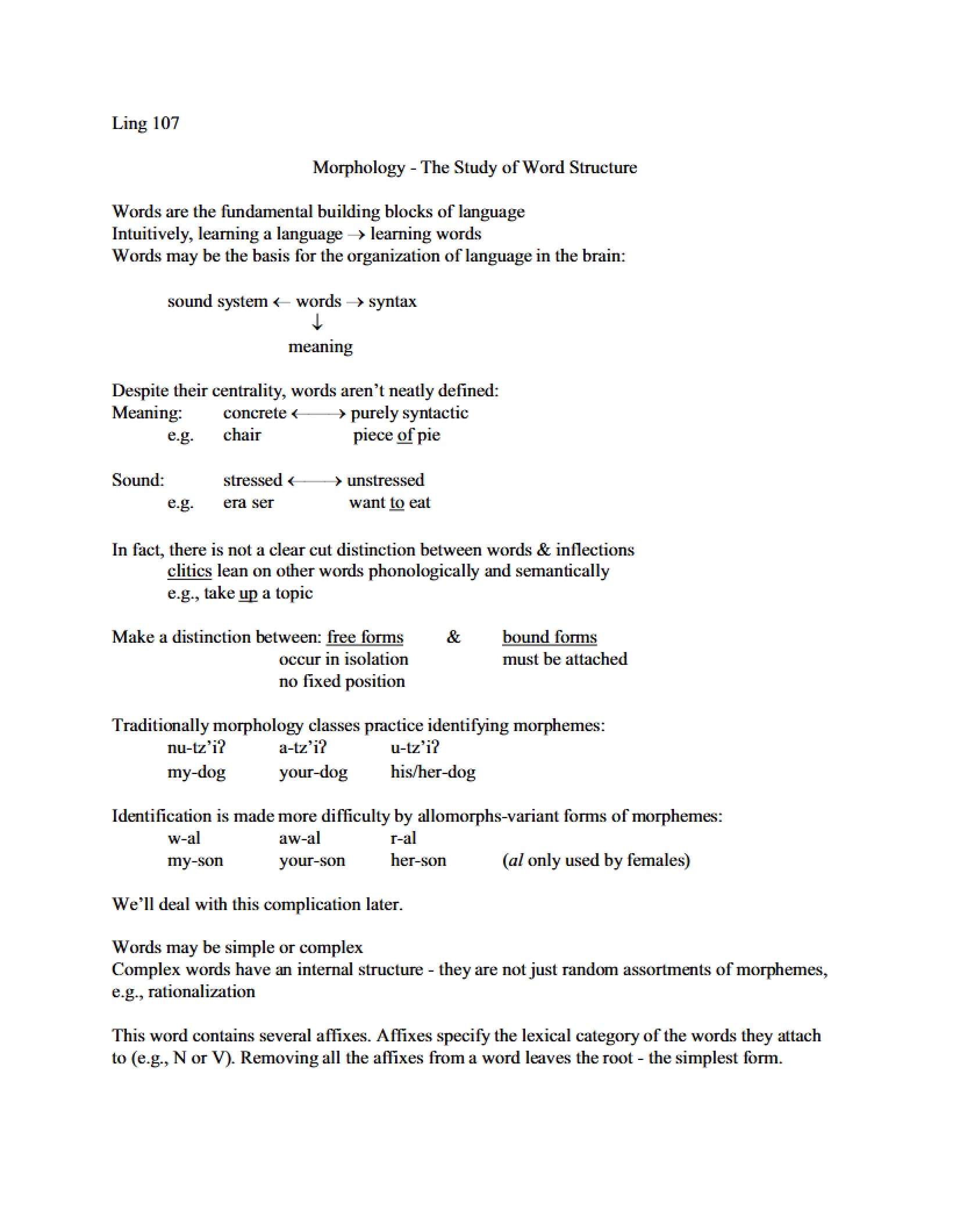 Word Structure Morphology