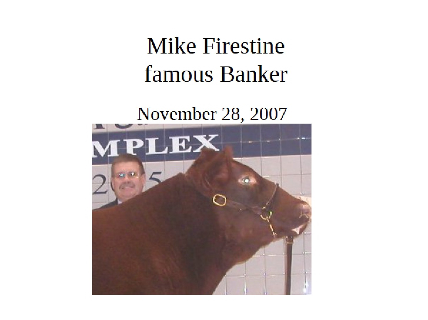 Case Study Mike Firestine