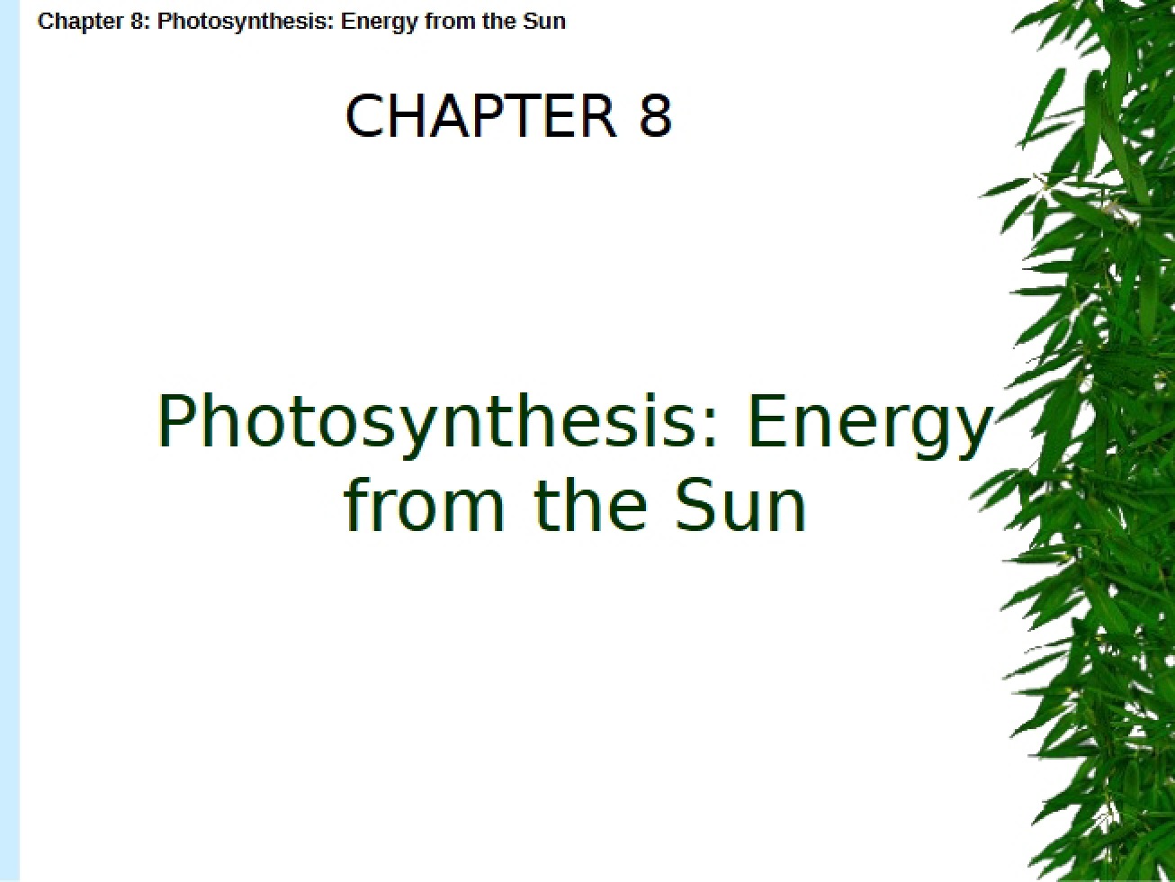 Photosynthetic Processes
