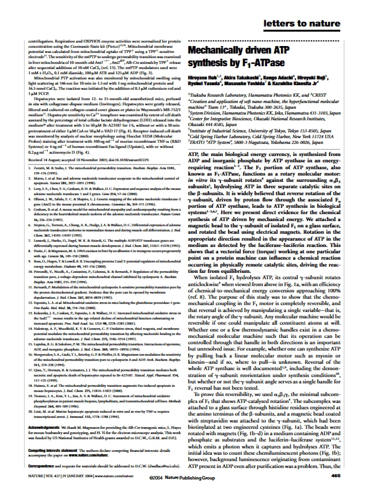 F1-ATPase Mechanically Driven ATP Synthesis
