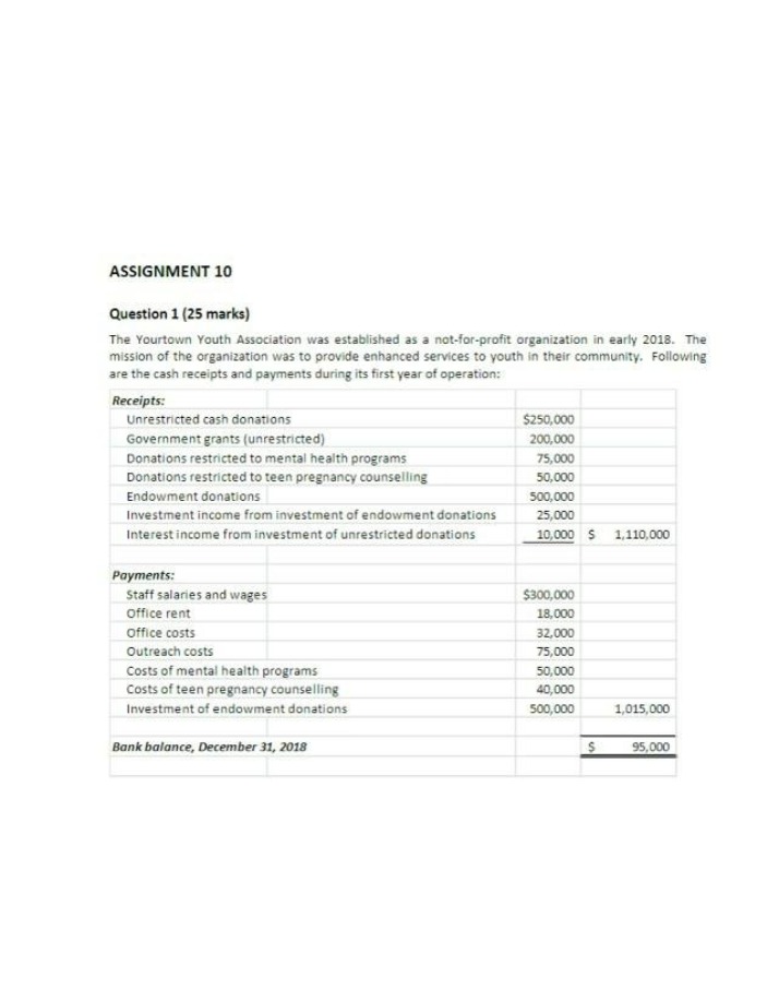 Yourtown Youth Association Financial Statements - Assignment 10