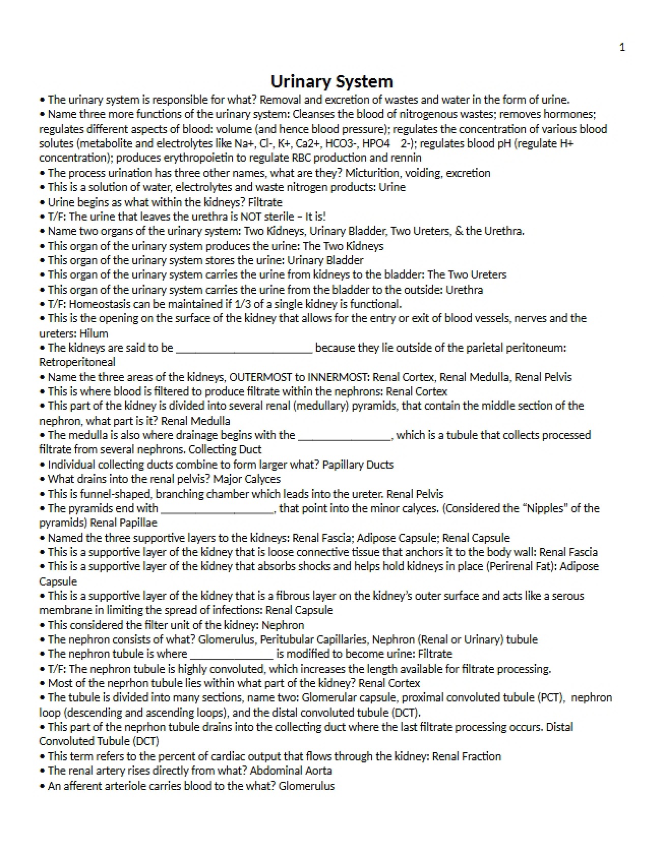 Study Guide Exam Four
