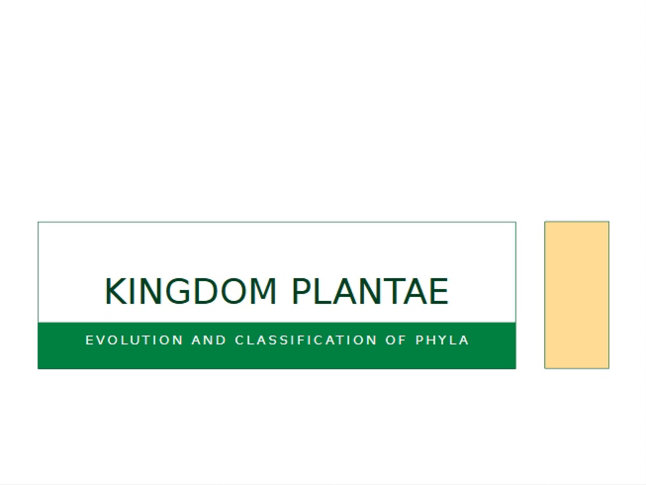 Plantae Kingdom Overview