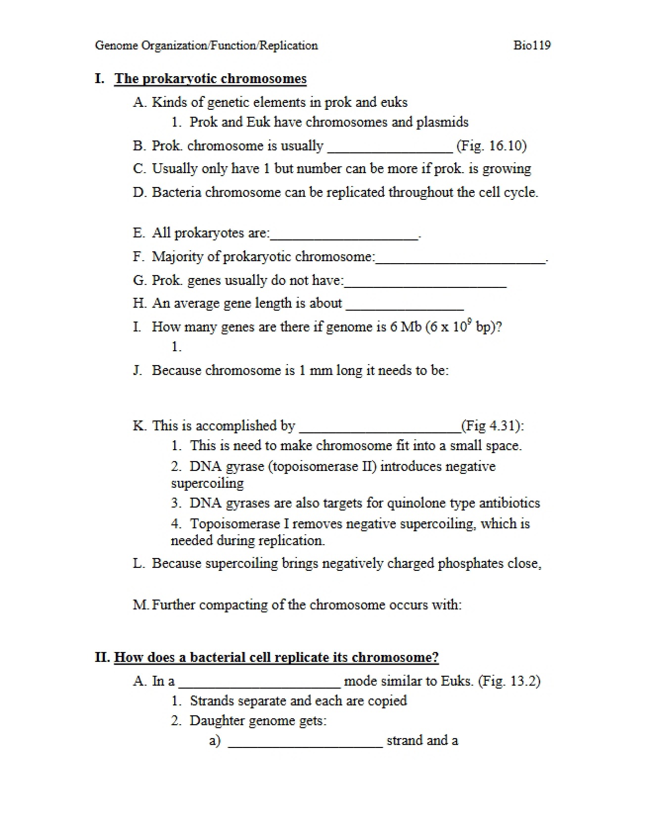 Replication, Function, and Organization of the Genome