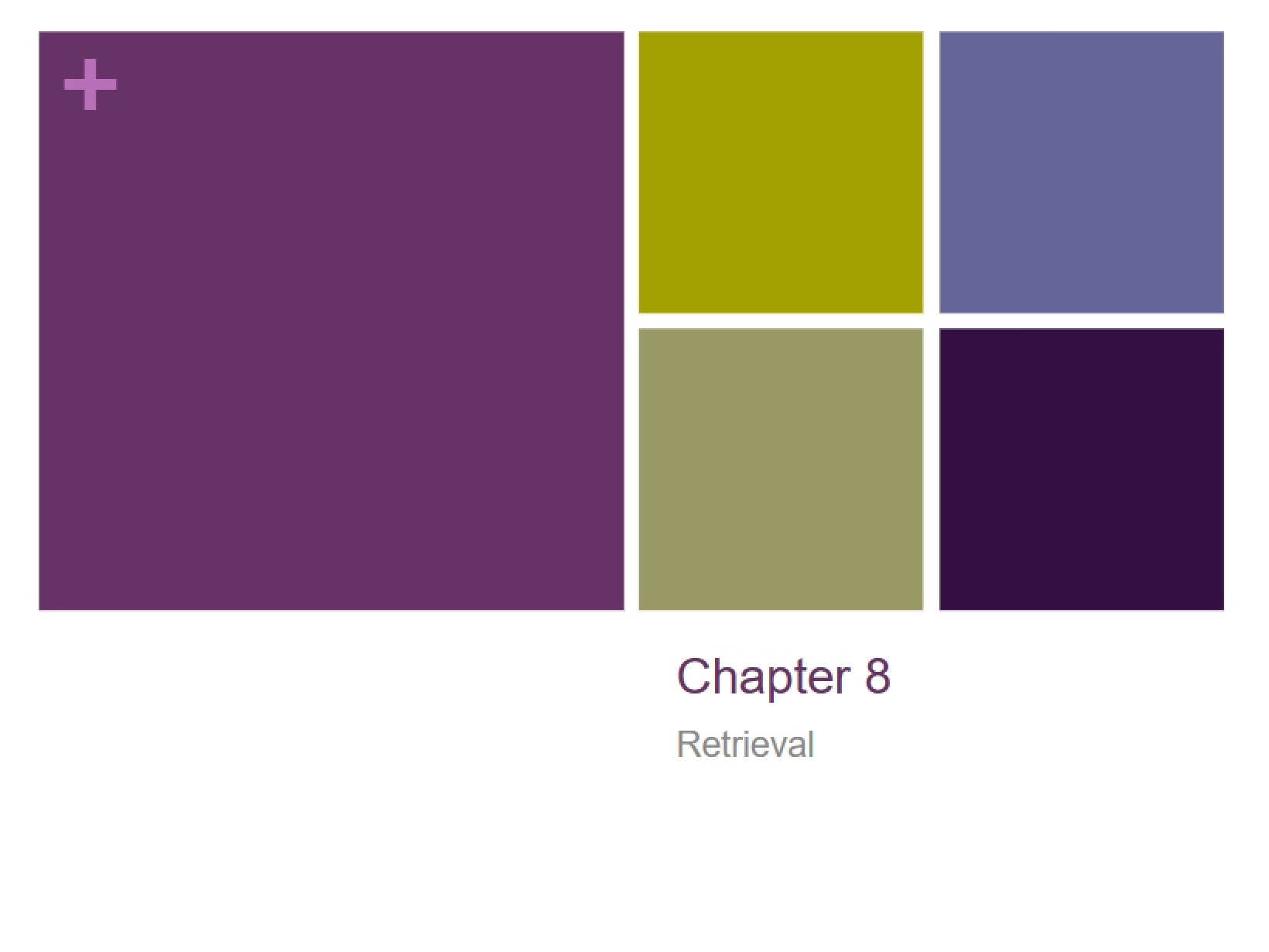 Memory Retrieval (Chapter 8)