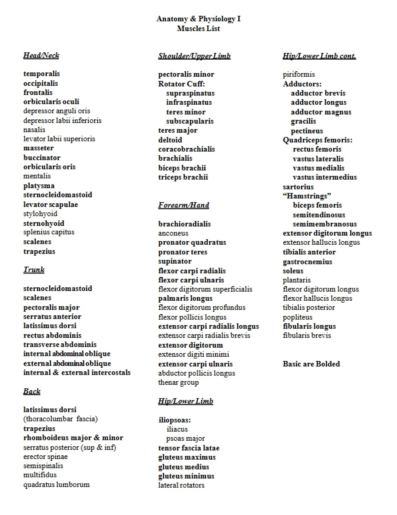 List of Muscles for Study (2017)