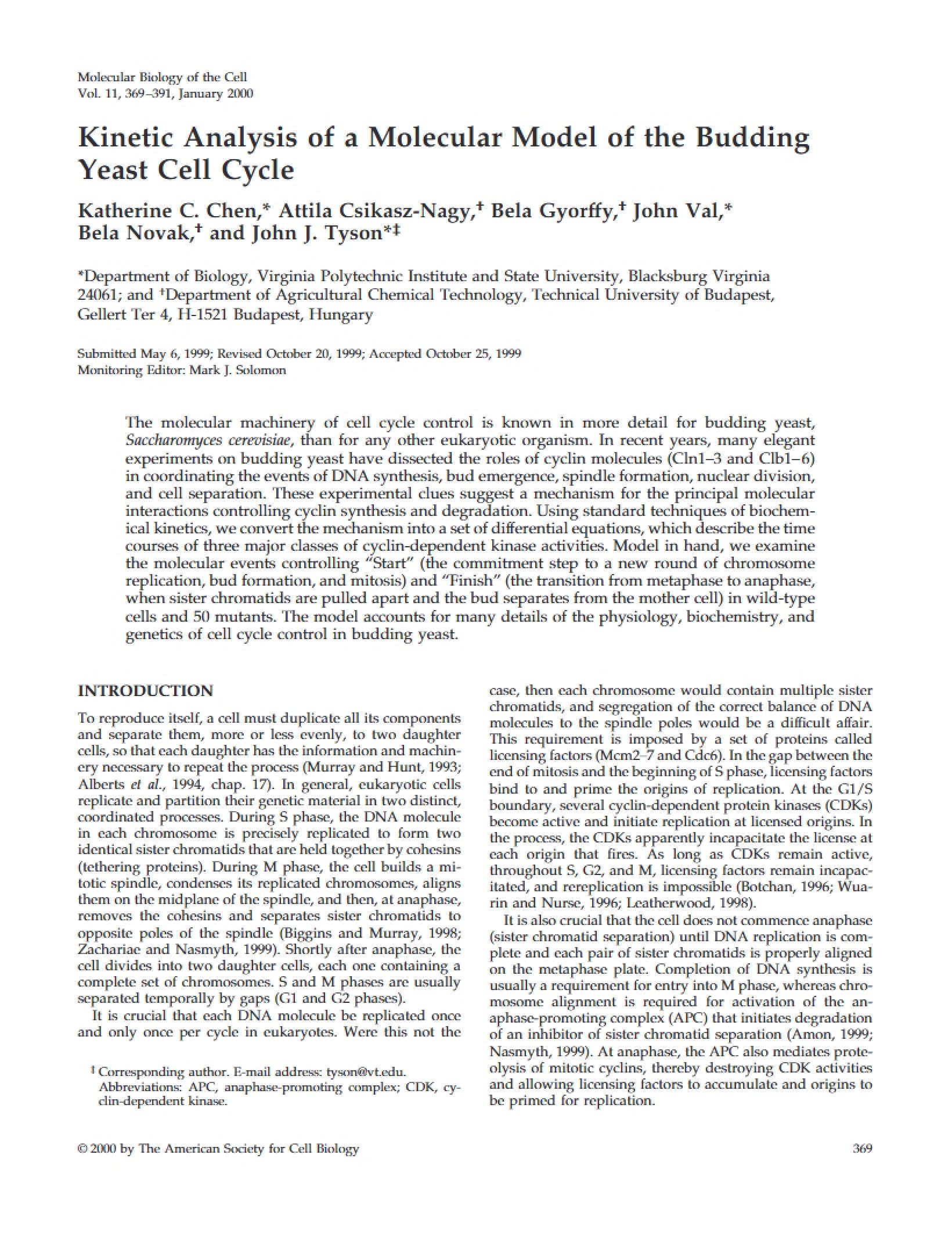 Molecular Models Kinetic Analysis