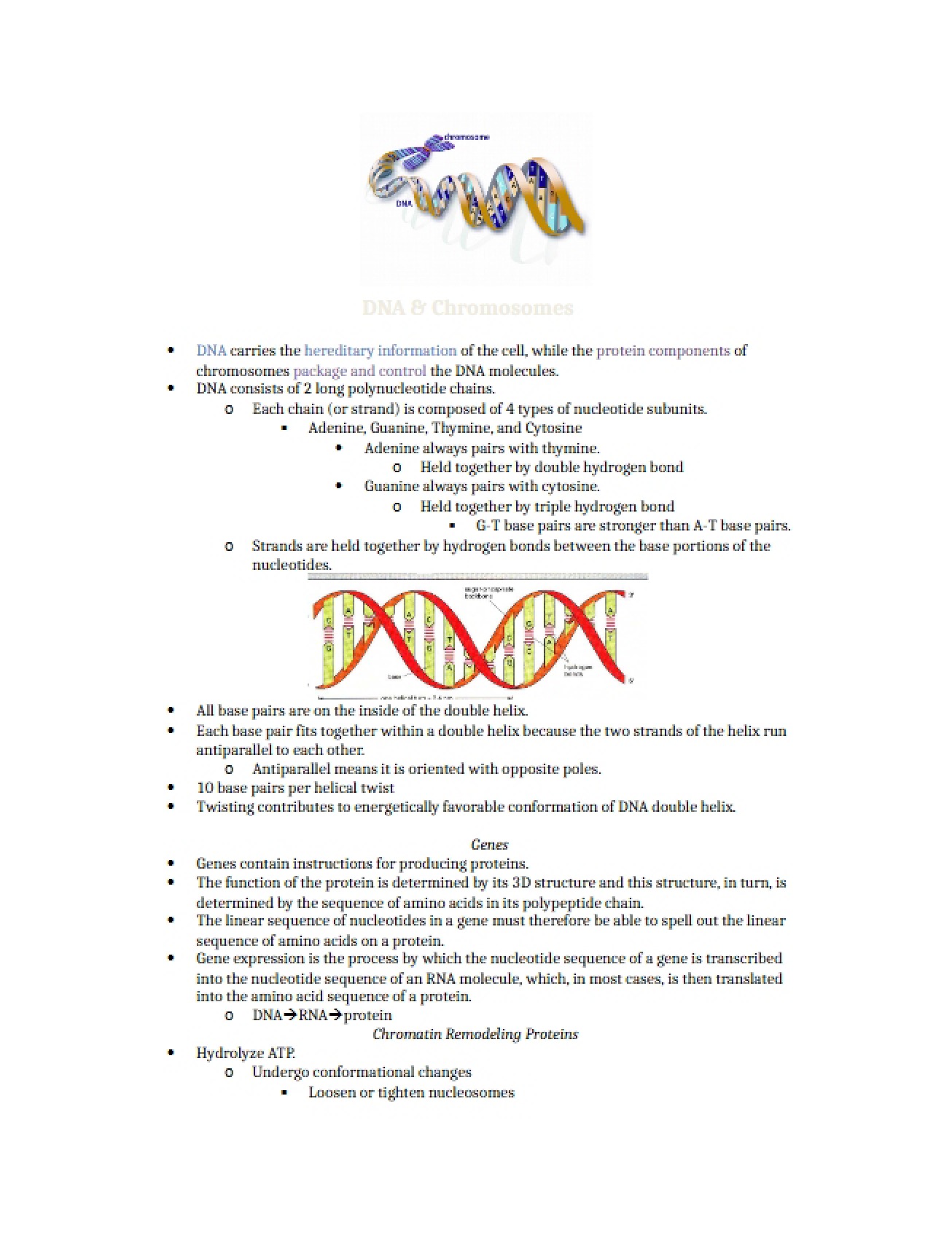 Introduction to DNA and Chromosomes