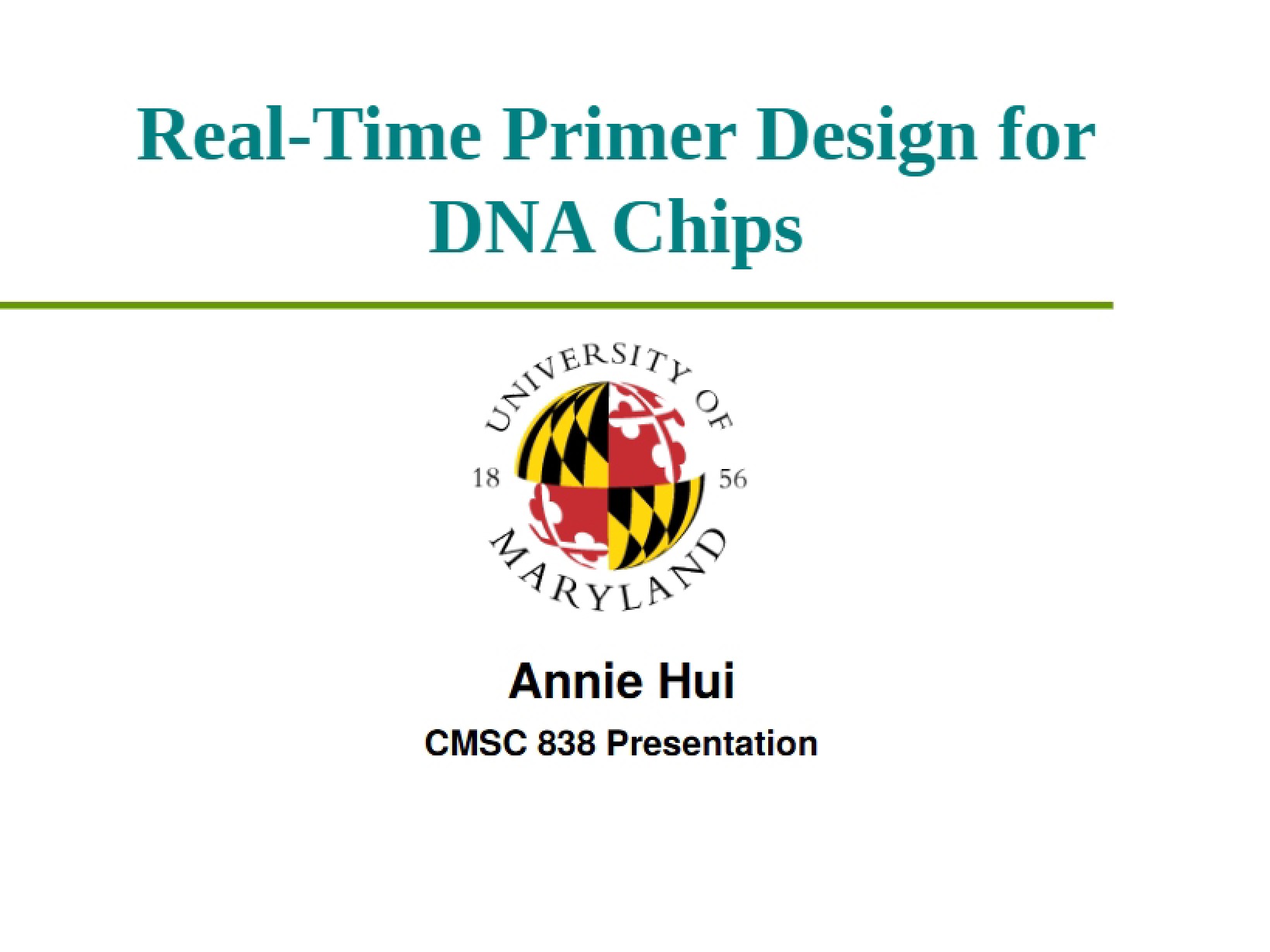 DNA Chip Primer Design in Real-Time