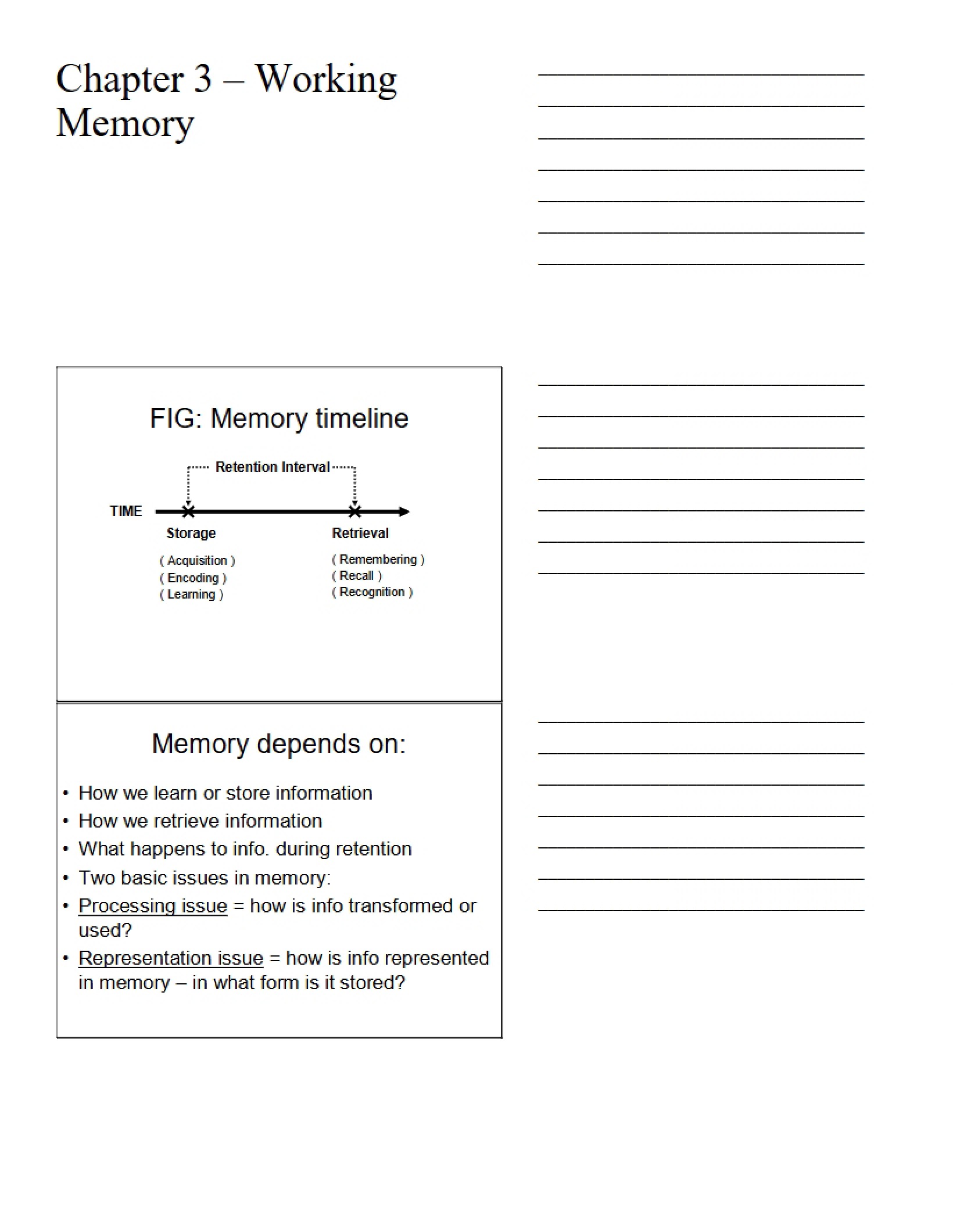 Working Memory Overview (Chapter 3)