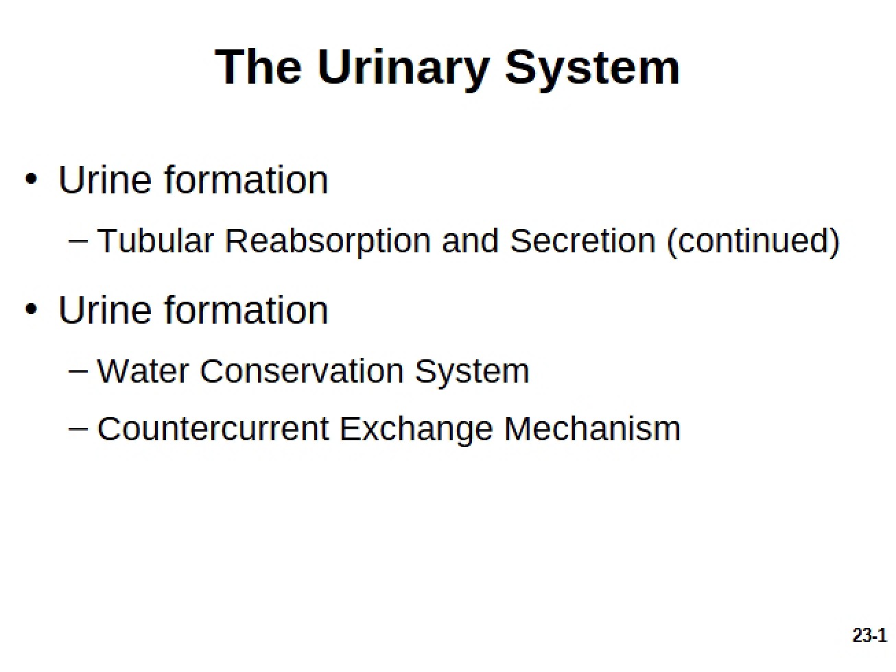 Urinary System Overview