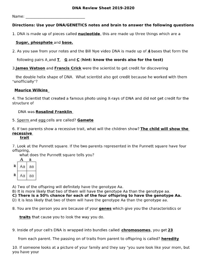 DNA Review Sheet - Nucleotides and Double Helices