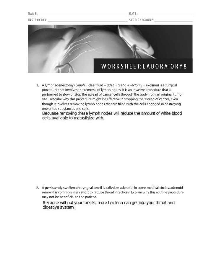 Worksheet for Laboratory 8