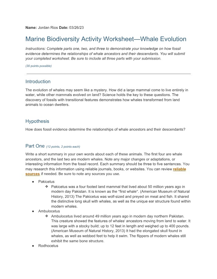 Whale Evolution - Marine Biodiversity Activity Worksheet