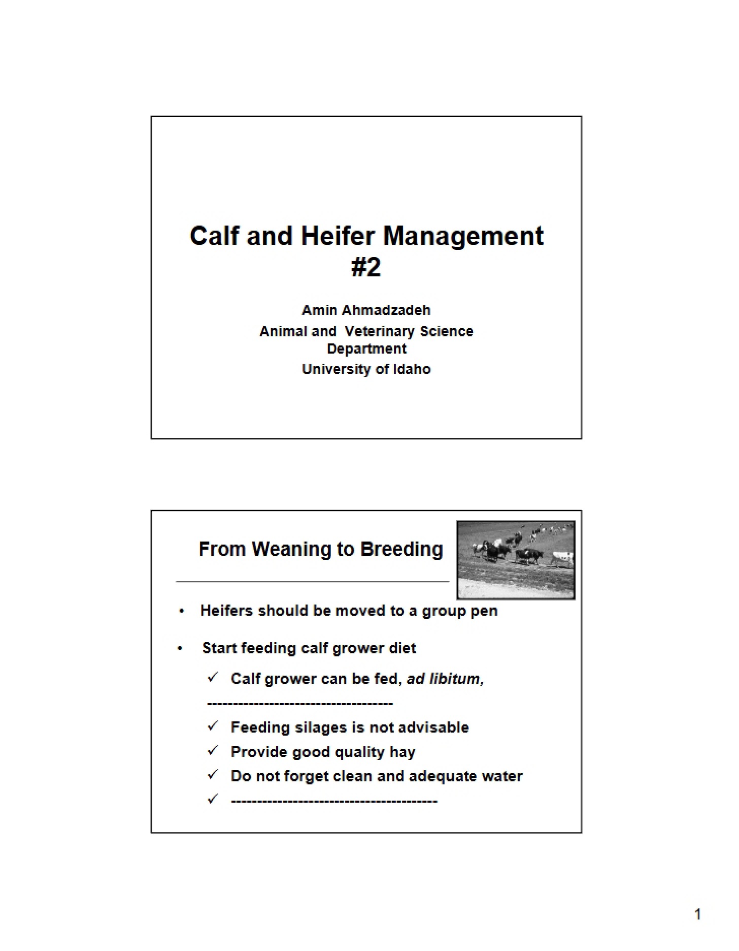 Management of Calves and Heifers 2