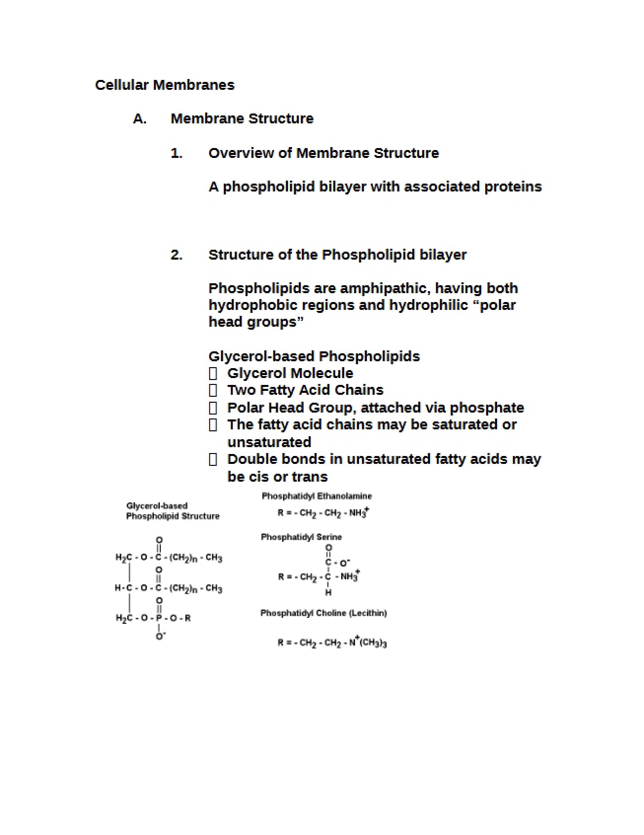 Introduction to Cellular Membranes