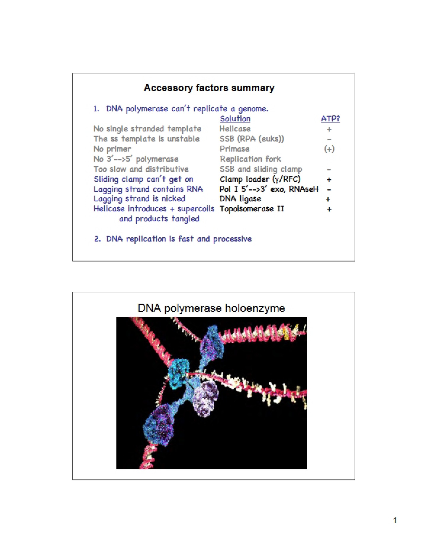 Summary of Accessory Factors