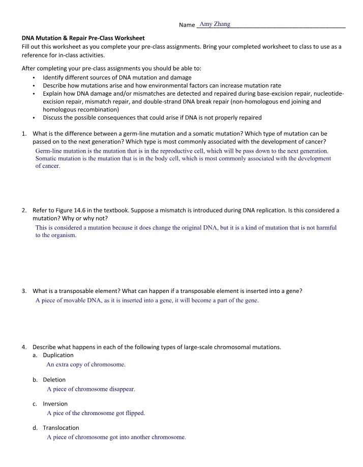 DNA Mutation & Repair Worksheet (Pre-Class)