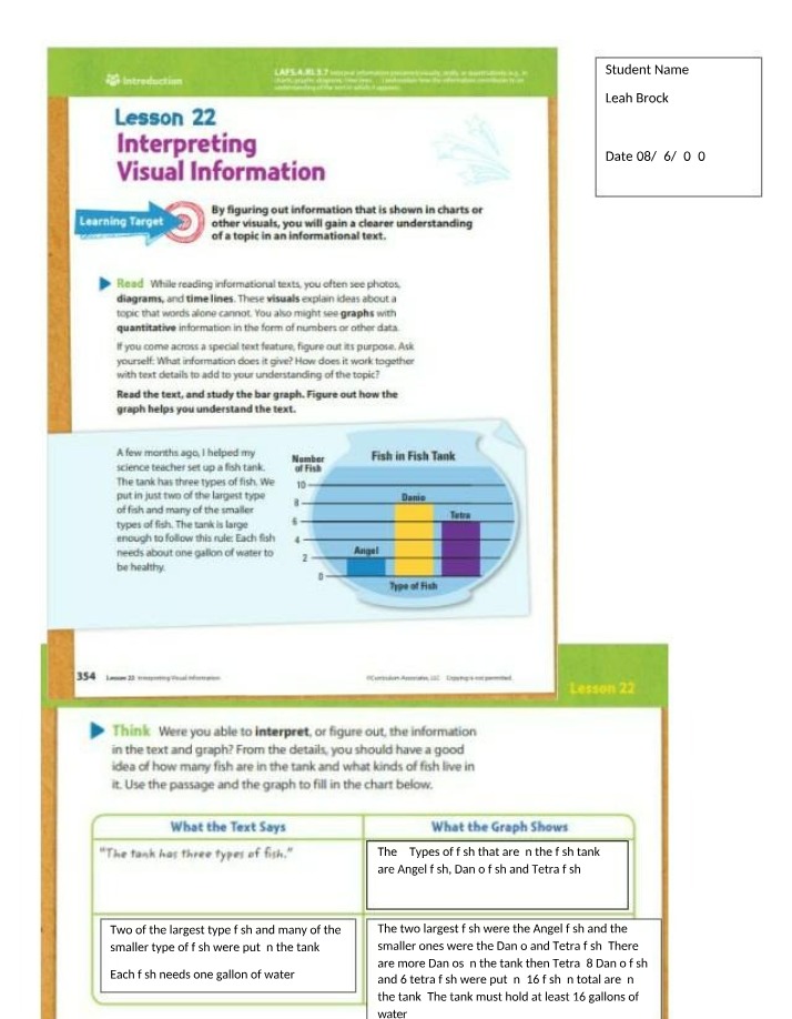 Lesson 22 - Interpreting Visual Information