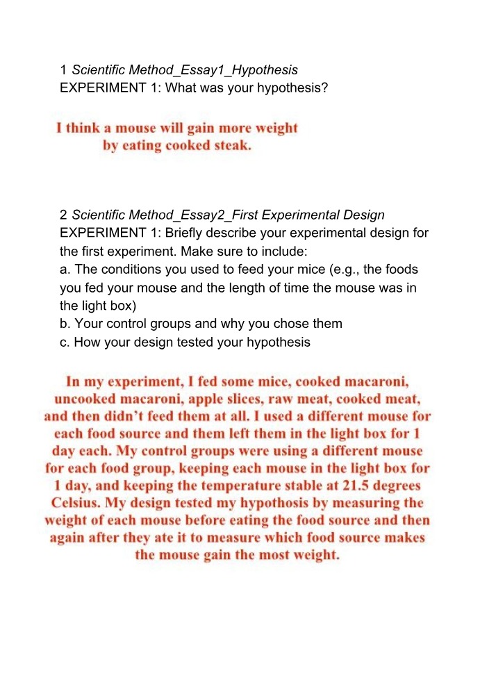 Lab Report on the Scientific Method