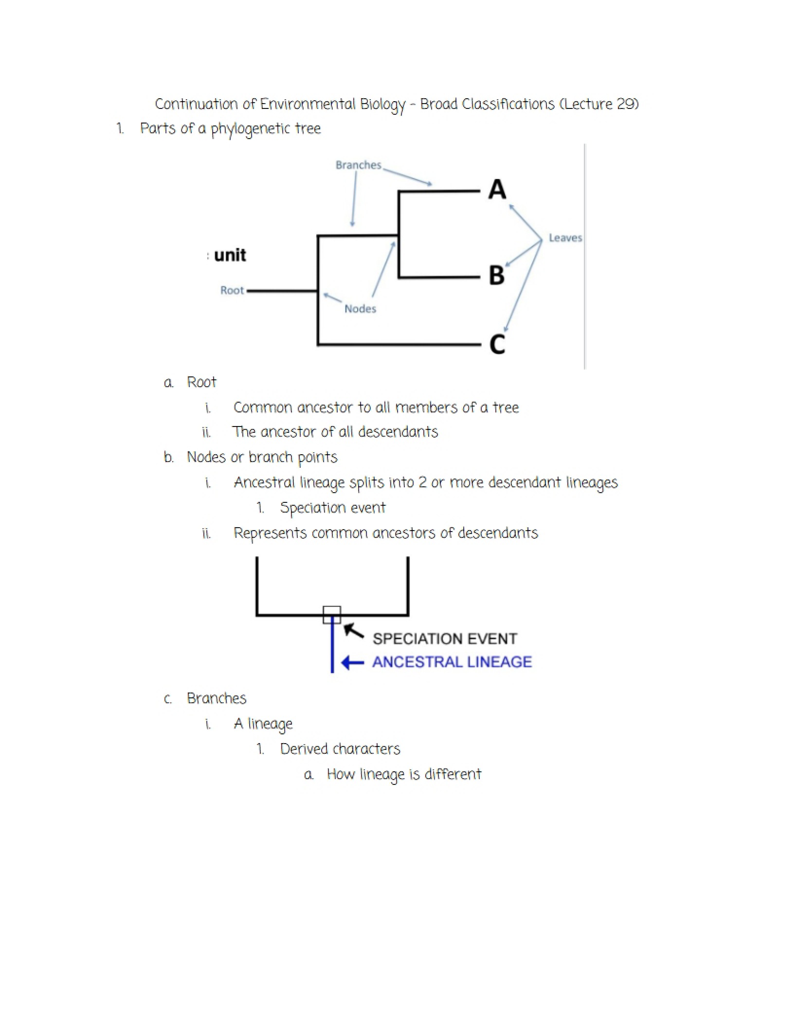 Broad Classifications Exercise Four