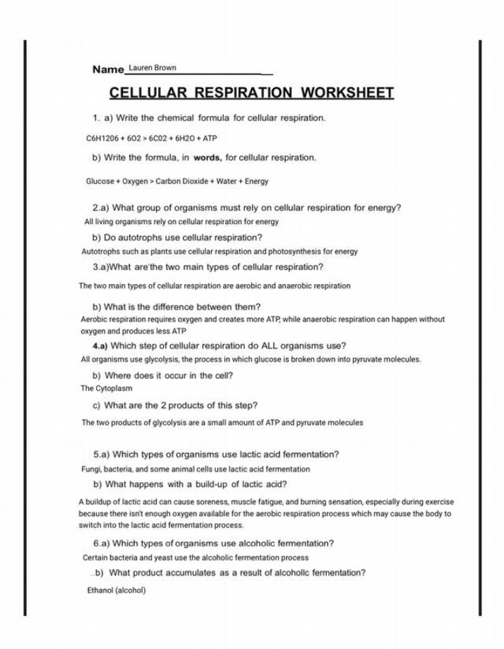 Worksheet on Cellular Respiration