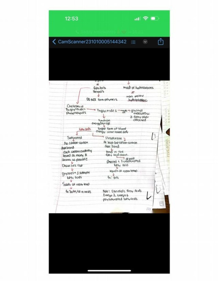 Notes on Hydrocarbon Composition and Properties