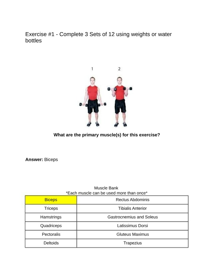 Exercise Selection