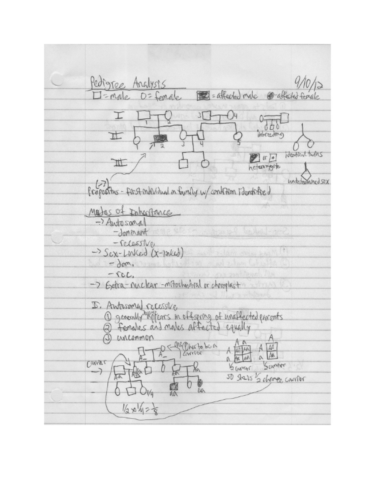 Notes on Genetics