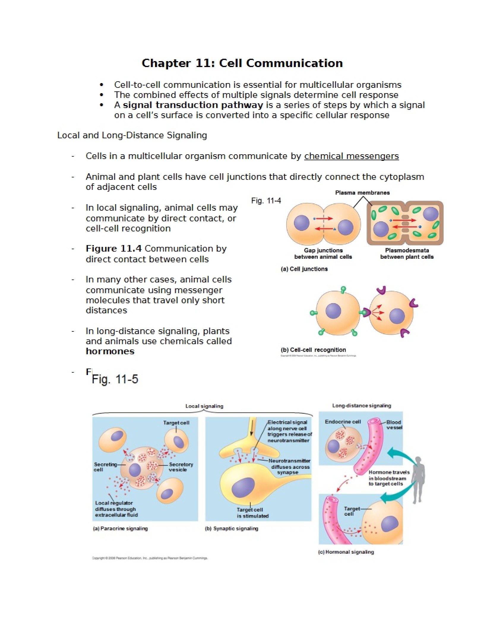 Communication in Cells (Ch 11)