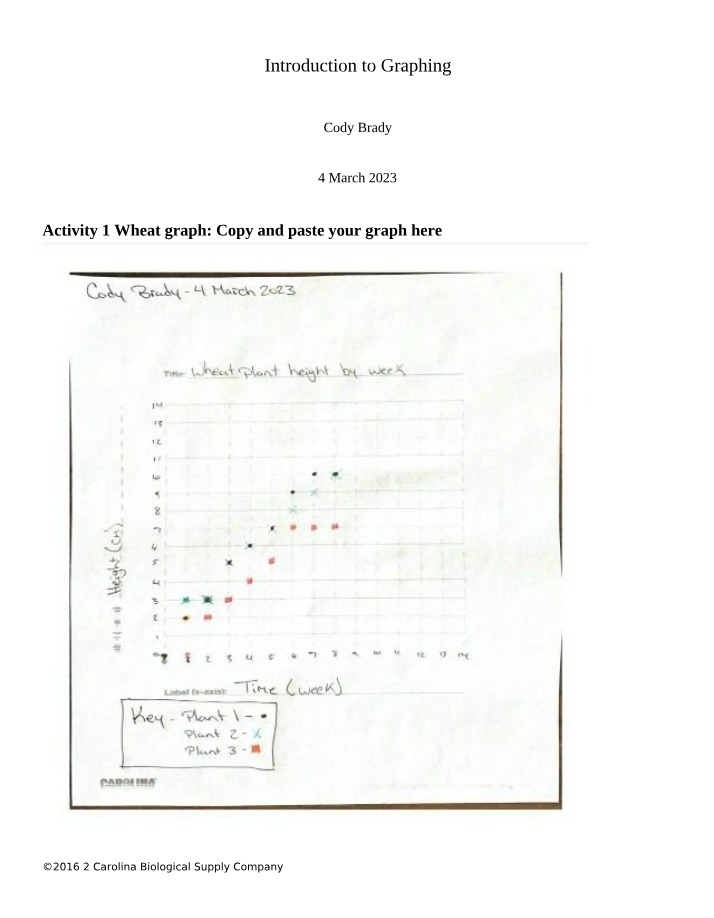 Comparative Study of Wheat Plant Growth Patterns