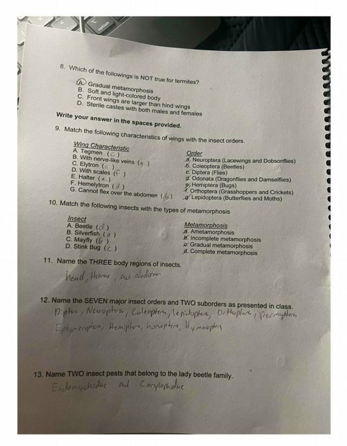 Exam Questions - Insect Metamorphosis and Orders