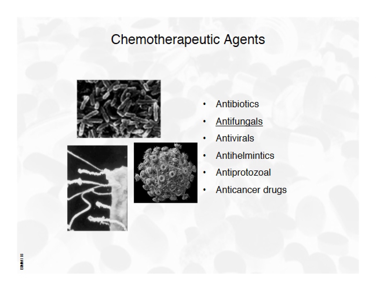 Seventeenth Pharmacological Presentation