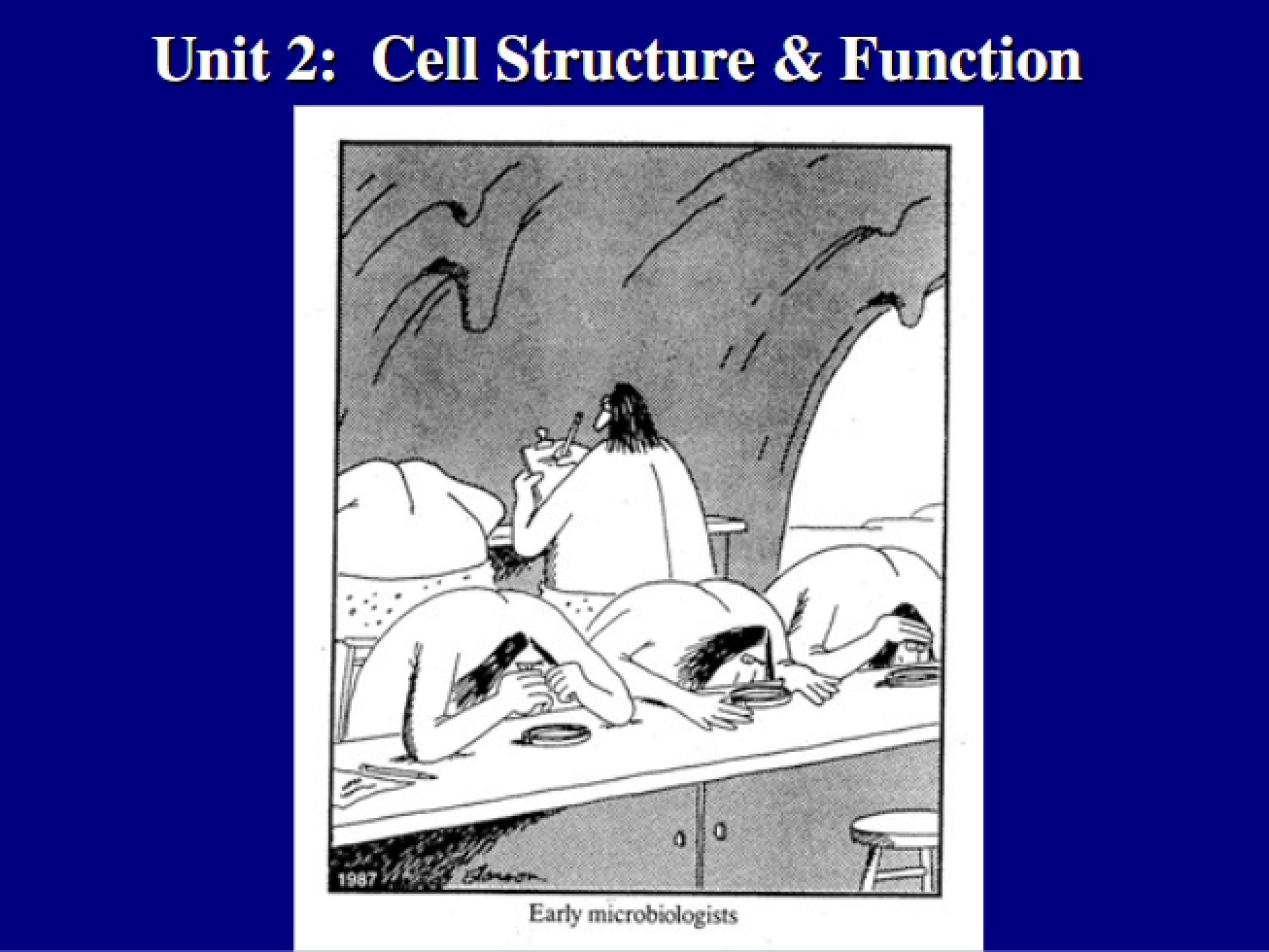 Unit 02 Bio 1020