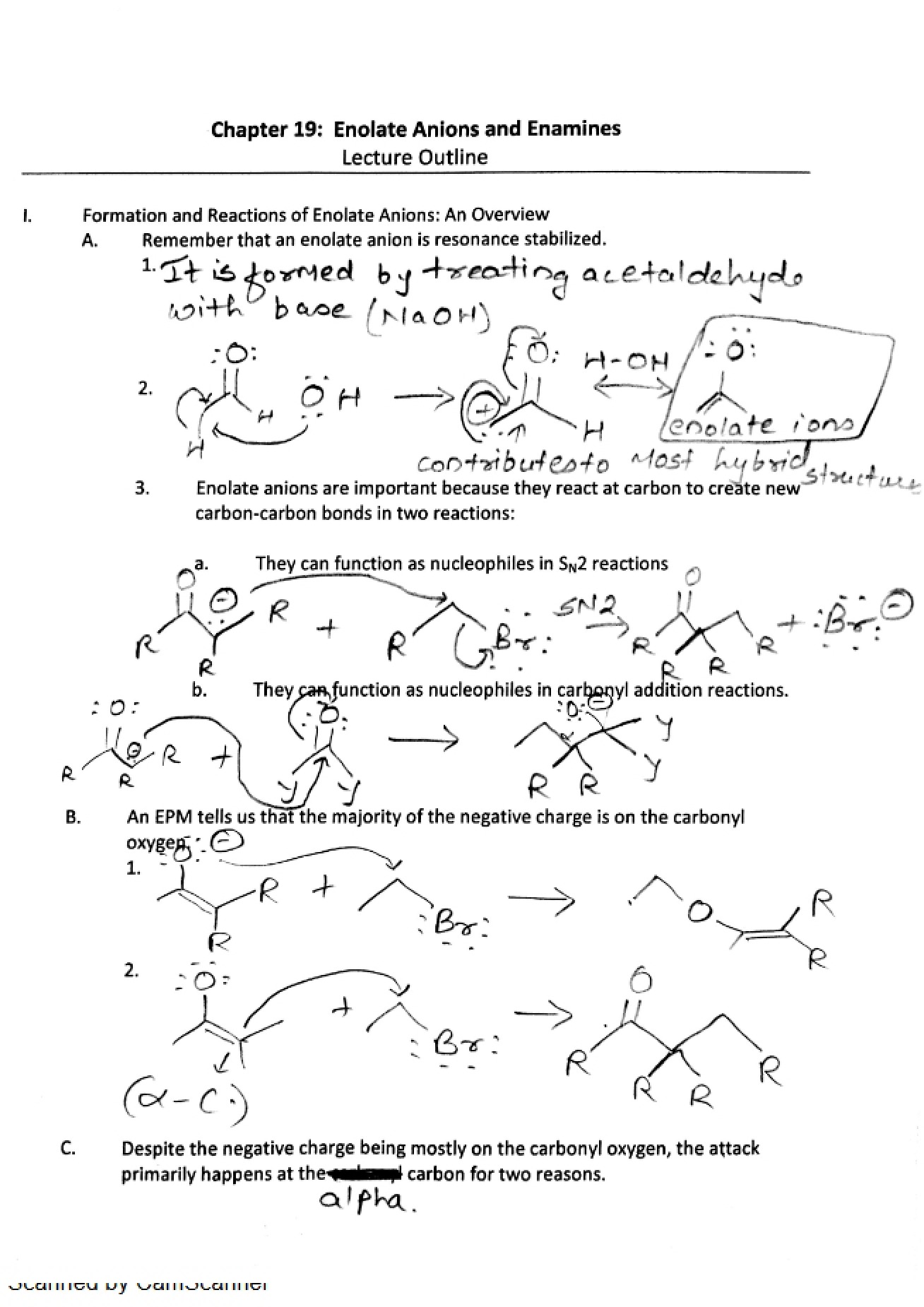 Chapter Nineteen Organic Chemistry