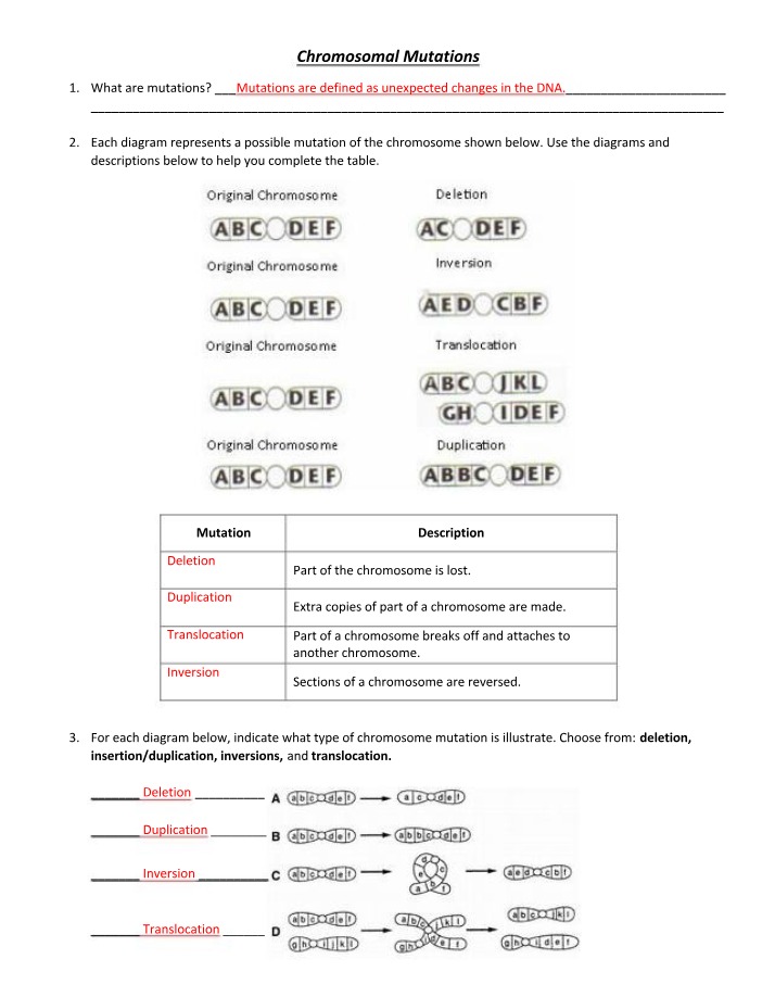 Mutations of Chromosomes