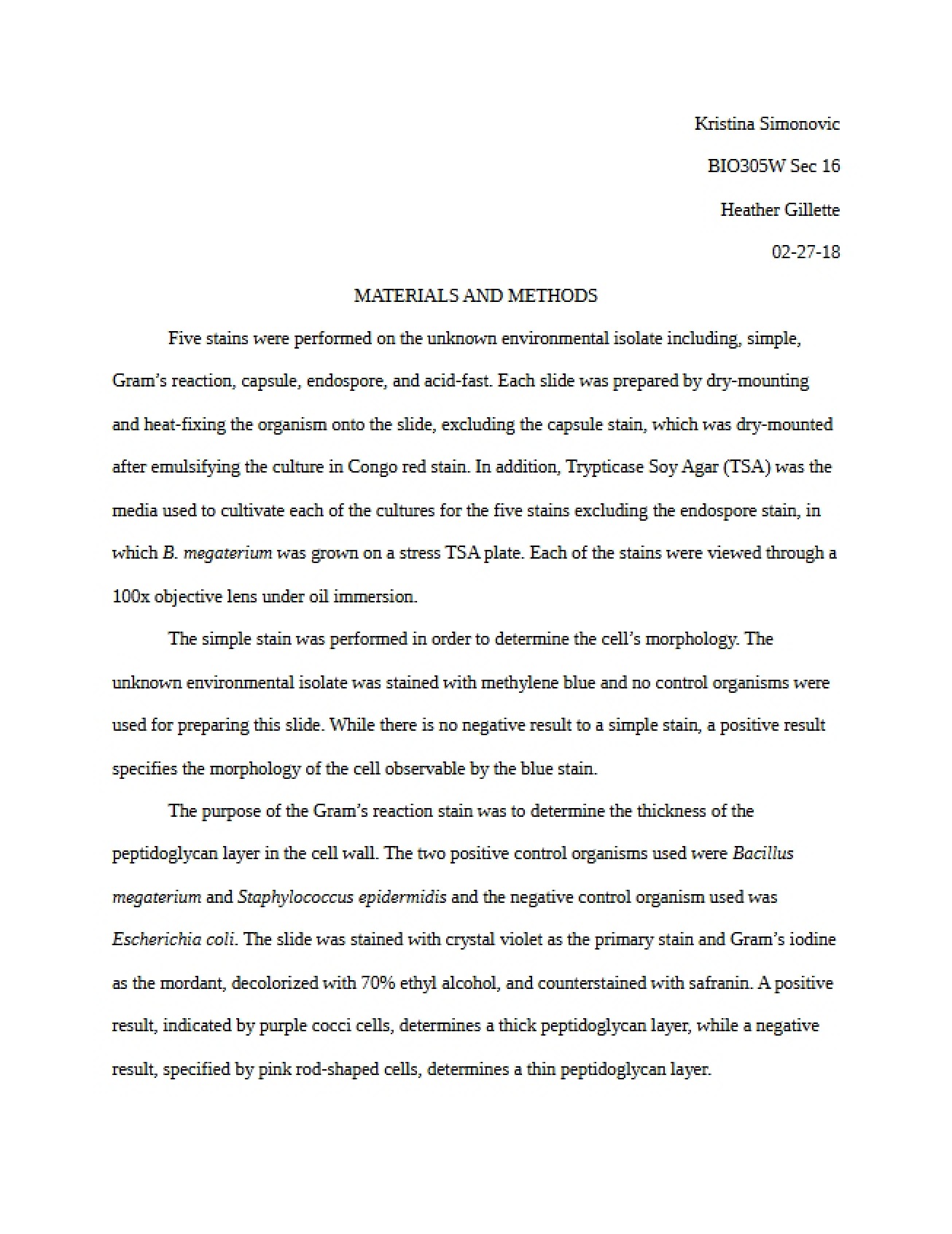 MWA3 Assignment