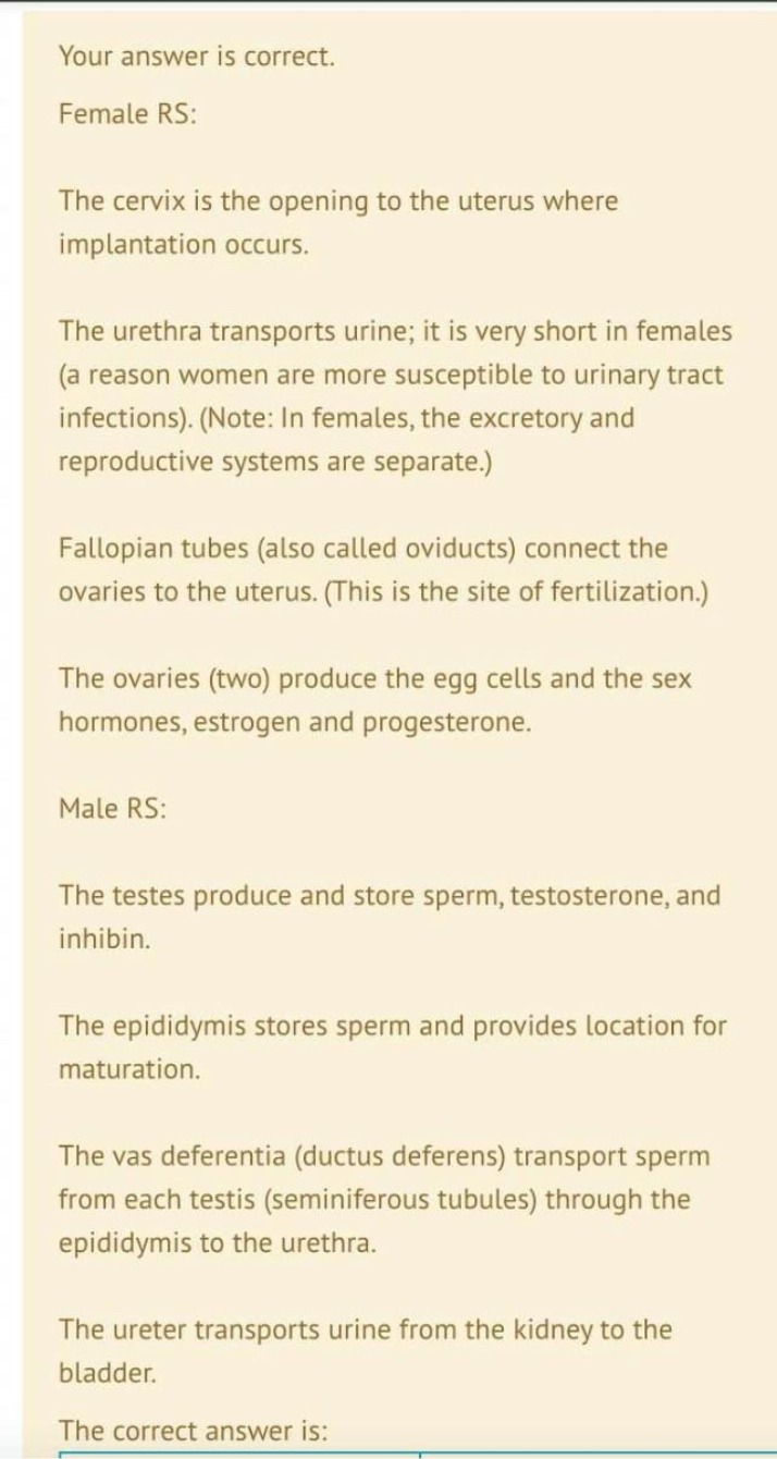Male and Female Reproductive Systems