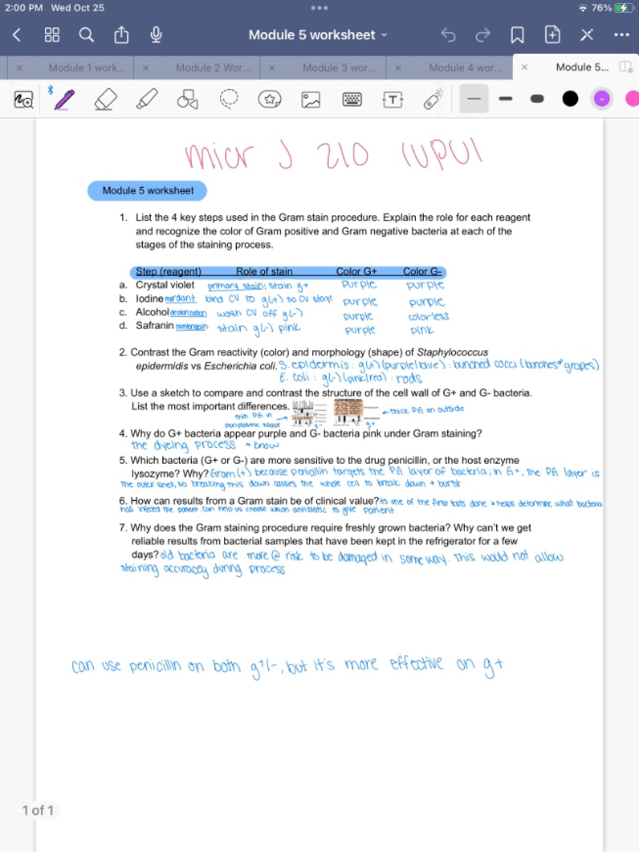 Worksheet 5 Practical