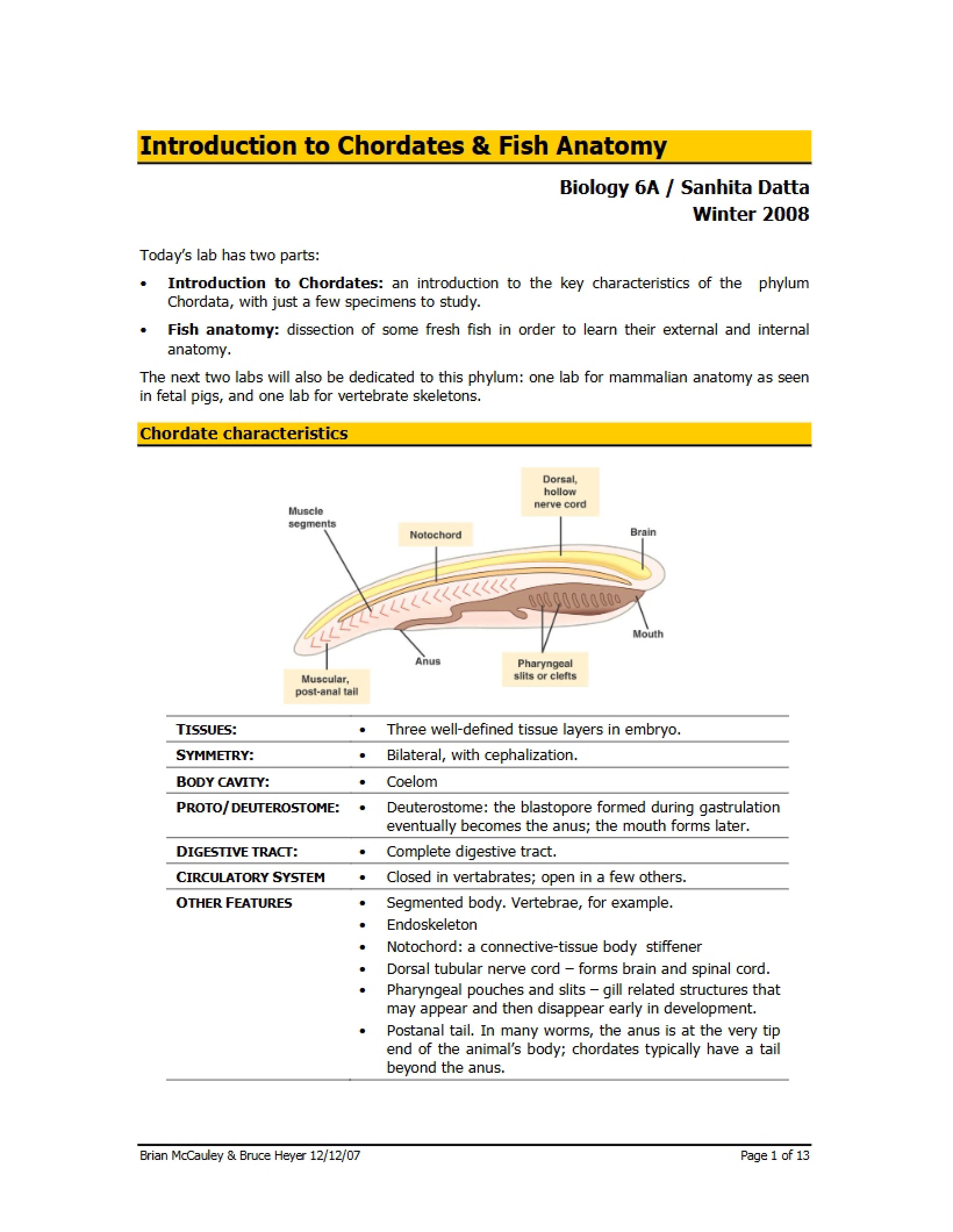 Fish Anatomy and Chordates Intro