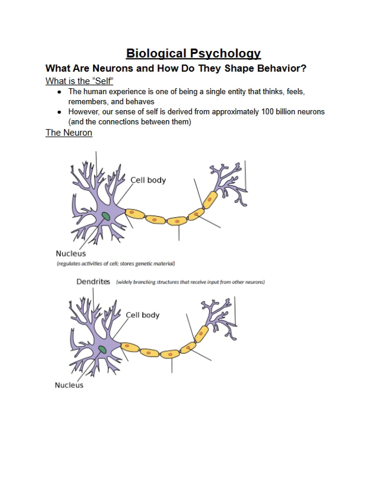 Psychology of Biology