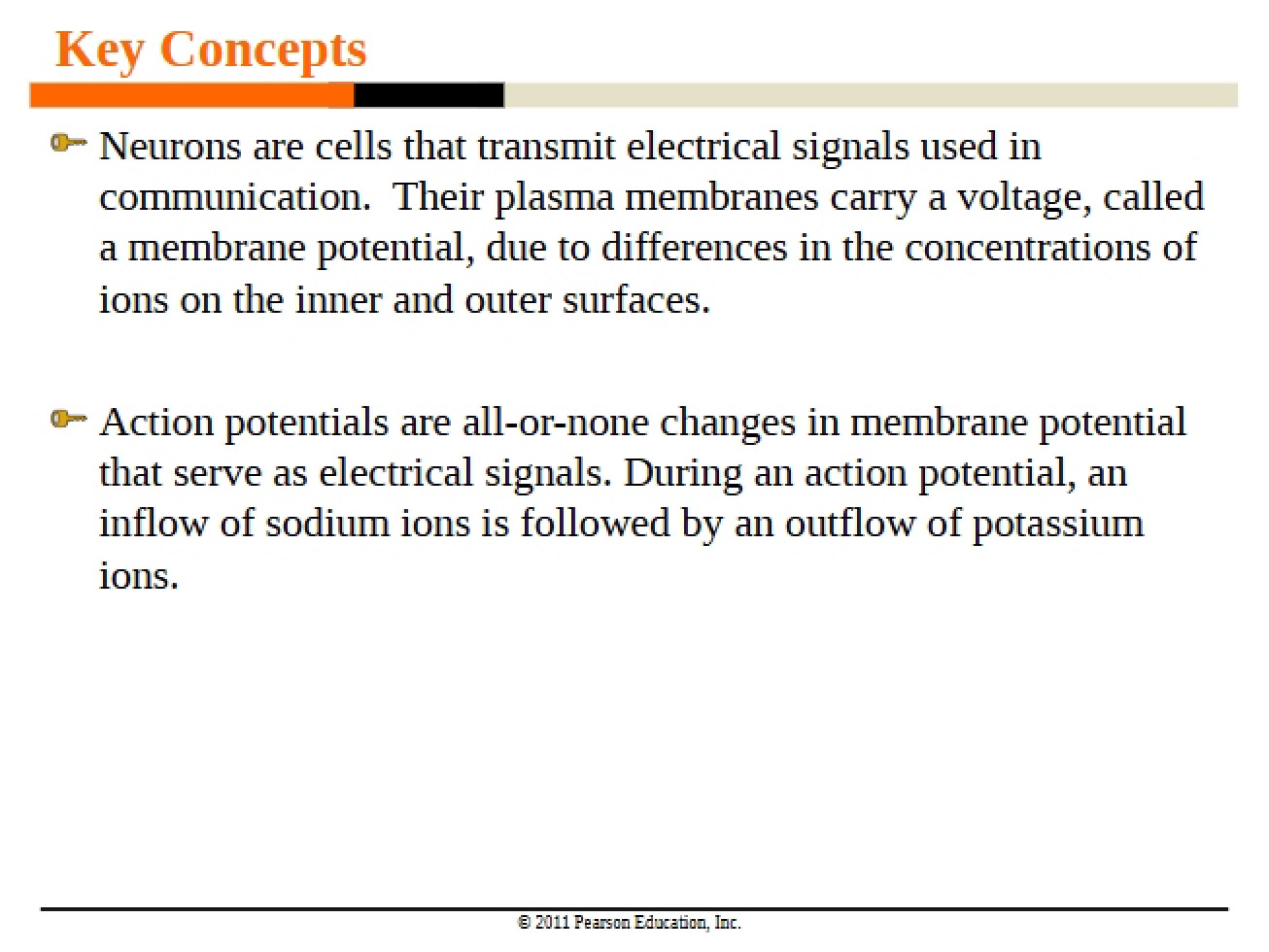 Forty-Sixth Lecture Outline
