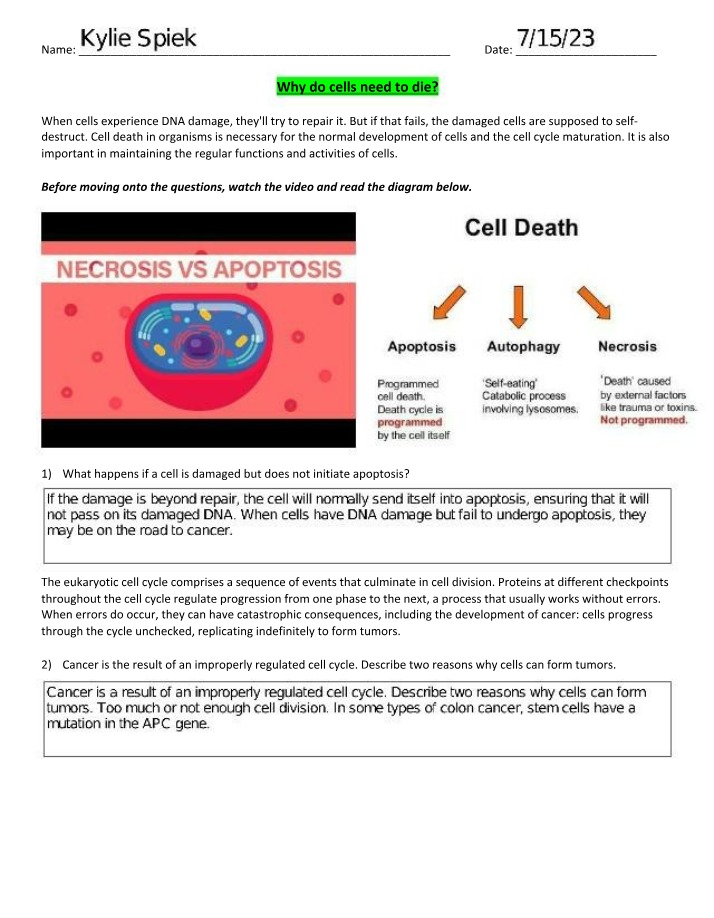 Why Cells Need to Die - Importance of Cell Death